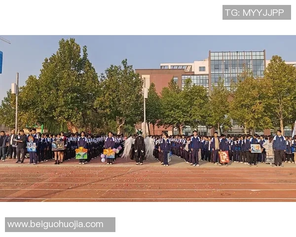 成都篮球队的拼搏之路与梦想追逐的精彩历程全景回顾