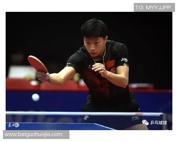 从零起步掌握乒乓球战术技巧全解析助你成为乒乓高手