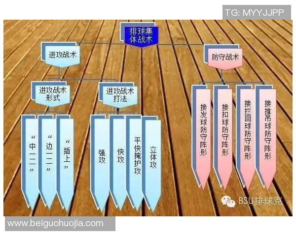 成都排球队在冠军赛中的灵活性展现与战术调整分析