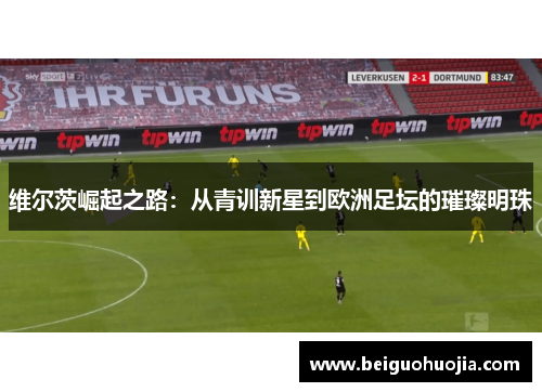 维尔茨崛起之路：从青训新星到欧洲足坛的璀璨明珠